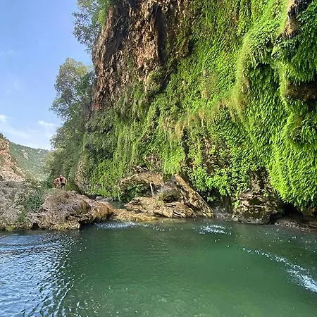 بيت ضيافة Sa Stiddiosa Gadoni