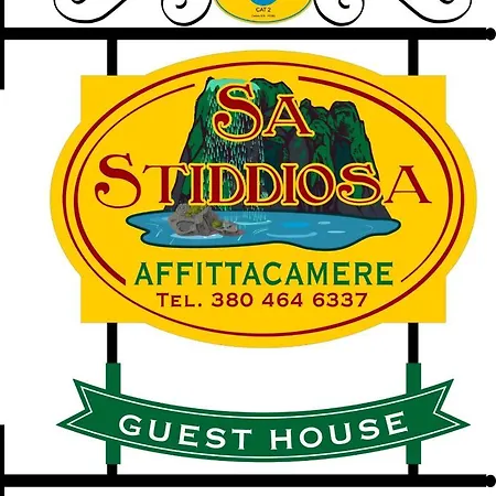 Sa Stiddiosa